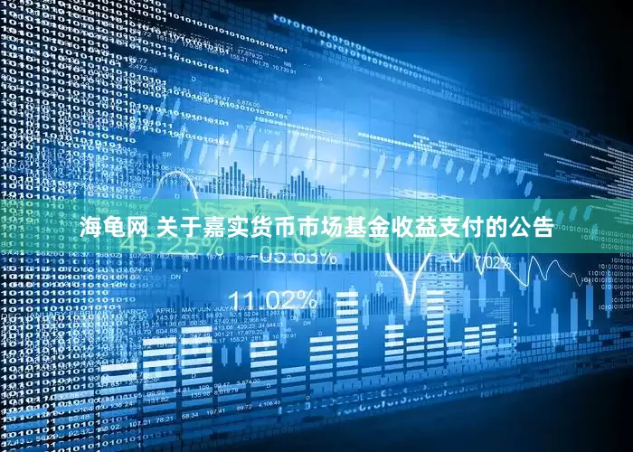 海龟网 关于嘉实货币市场基金收益支付的公告